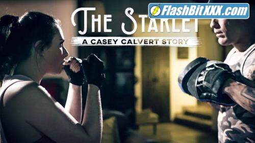 Casey Calvert - The Starlet: A Casey Calvert Story [SD 544p]