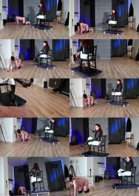 Mistress Lady Renee - Broken Ponyboy Whipped To Pull Faster [HD 720p]