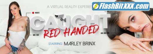 Marley Brinx - Caught Red Handed [UltraHD 4K 3072p]