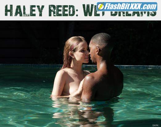 Haley Reed - Wet Dreams [HD 720p]