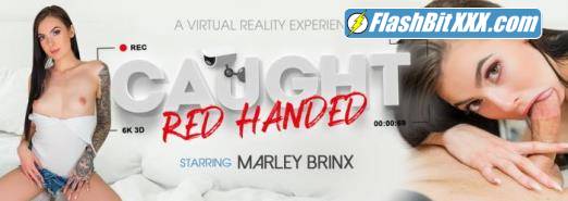 Marley Brinx - Caught Red Handed [UltraHD 2K 2048p]