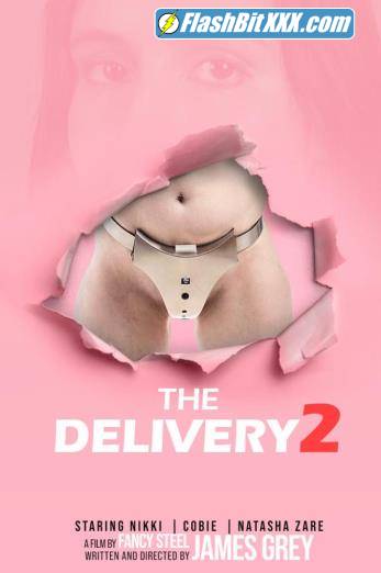 Natasha Zare, Nikki, Cobie - The Delivery 2 [FullHD 1080p]