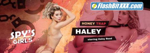 Haley Reed - Honey Trap Haley [UltraHD 2K 1920p]