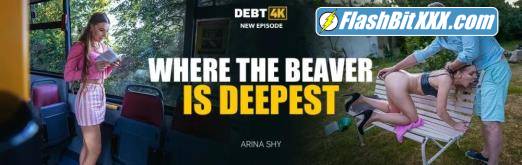 Arina Shy - Where the Beaver is Deepest [SD 540p]